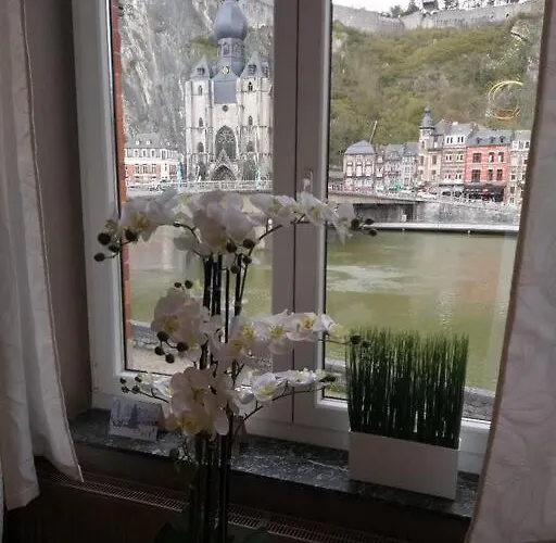 The View